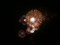 DSCN1128.jpg