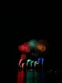 DSCN3280.jpg