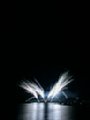 DSCN3285.jpg